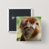 MONKEY BUTTON (Vorne & Hinten)