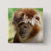 MONKEY BUTTON (Vorderseite)