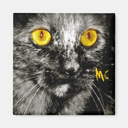 Monkey Cat Magnet (Vorne)