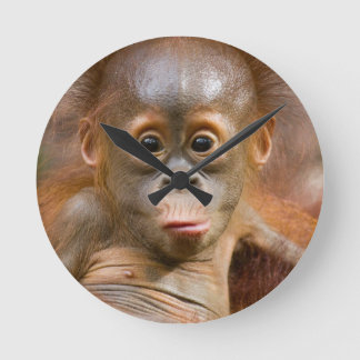Monkey Clock Runde Wanduhr