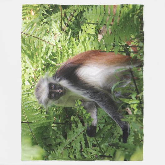 Monkey Fleece Blanket (Vorderseite)