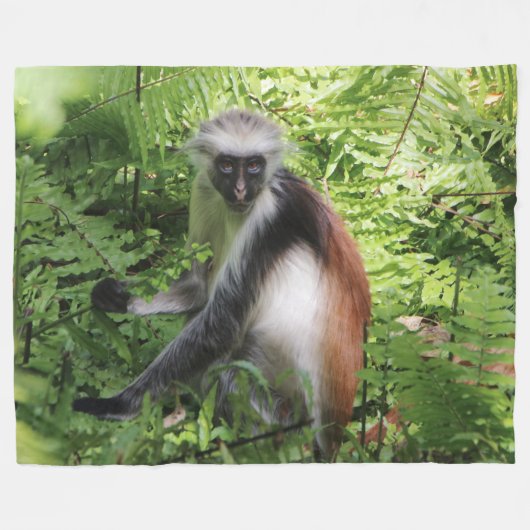 Monkey Fleece Blanket (Vorderseite (Horizontal))