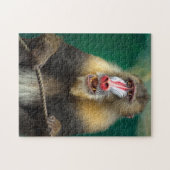 Monkey Fotografie Best Wildlife Fotos Puzzle (Horizontal)