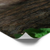 Monkey fröstelt nur poster (Ecke)