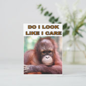 MONKEY FUN POSTKARTE (Stehend Vorderseite)