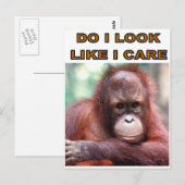 MONKEY FUN POSTKARTE (Vorne/Hinten)