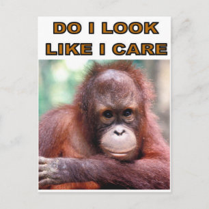 MONKEY FUN POSTKARTE