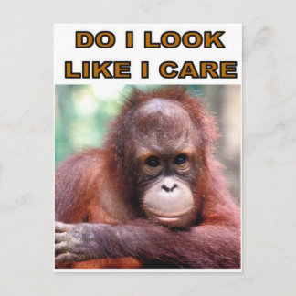 MONKEY FUN POSTKARTE