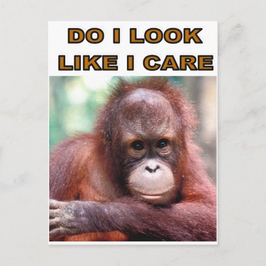 MONKEY FUN POSTKARTE (Vorderseite)