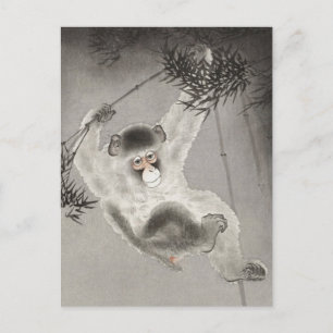 Monkey Hanging von Bamboo Branch von Ohara Koson Postkarte