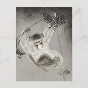 Monkey Hanging von der Zweigstelle Bamboo von Ohar Postkarte