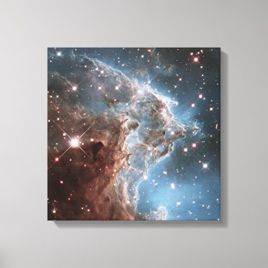 Monkey Head Nebula  Leinwanddruck (Vorderseite)