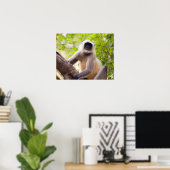 Monkey in jungle of Ranthambore National Park Poster (Heimbüro)