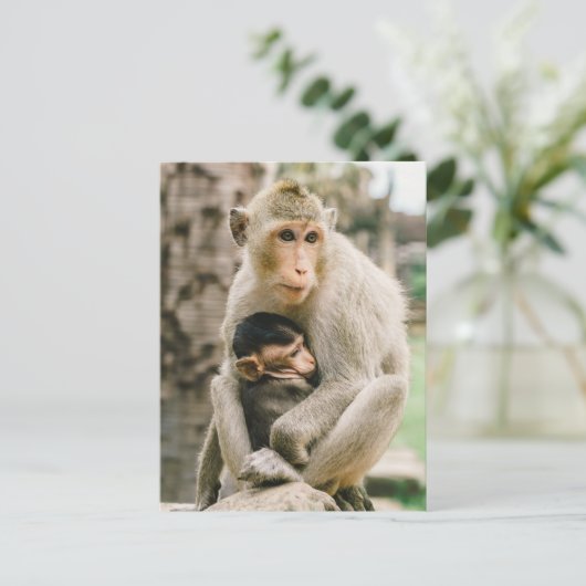 Monkey Mama & Baby Postkarte (Stehend Vorderseite)