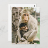 Monkey Mama & Baby Postkarte (Vorne/Hinten)