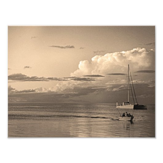 Monkey Mia Fotodruck (Vorne)