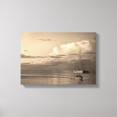 Monkey Mia Leinwanddruck (Vorderseite)