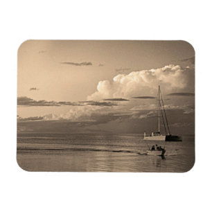Monkey Mia Magnet