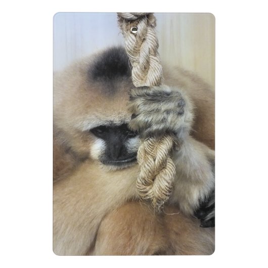 MONKEY MINI KLEMMBRETT (Rückseite)