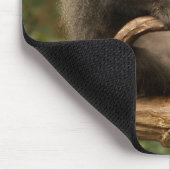 Monkey Mousepad (Ecke)