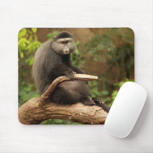 Monkey Mousepad (Mit Mouse)