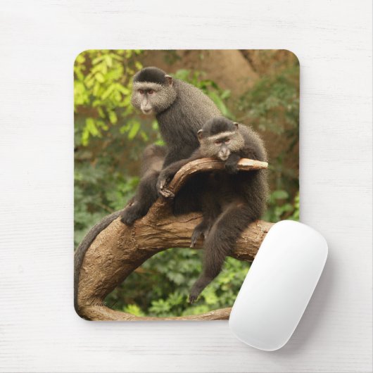 Monkey Mousepad (Mit Mouse)