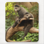 Monkey Mousepad (Vorne)