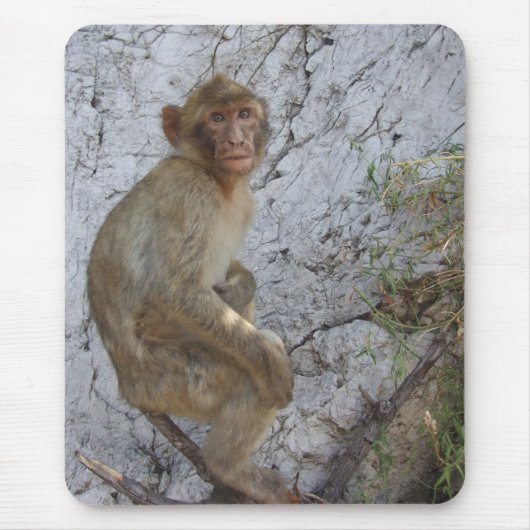 Monkey Mousepad (Vorne)