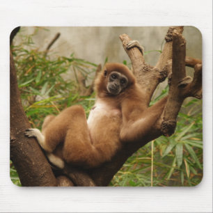 Monkey Mousepad