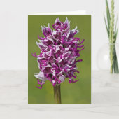 Monkey Orchid - Grußkarte Karte (Vorderseite)