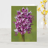 Monkey Orchid - Grußkarte Karte (Gelbe Blume)