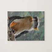 Monkey Portrait Puzzle (Horizontal)