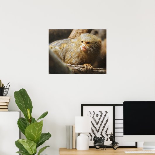 Monkey Poster (Heimbüro)