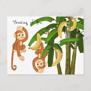 Monkey-Postkarte Postkarte