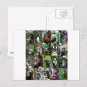 Monkey-Primat Postkarte (Vorne/Hinten)