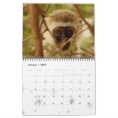 Monkey Primat Vine Welcome Zuhause Destiny Destiny Kalender (Jan 2027)