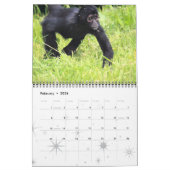 Monkey Primat Vine Welcome Zuhause Destiny Destiny Kalender (Feb 2026)