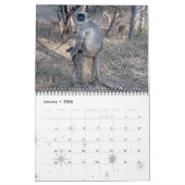 Monkey Primat Vine Welcome Zuhause Destiny Destiny Kalender (Jan 2026)