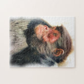 MONKEY PUZZLE (Horizontal)