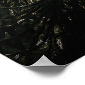 Monkey Puzzle Poster (Ecke)