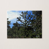 Monkey Puzzle Tree #1 Jigsaw Puzzle (Horizontal)