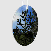 Monkey Puzzle Tree #1 Ornament (Vorderseite)