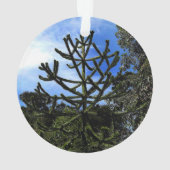 Monkey Puzzle Tree #1 Ornament (Rückseite)