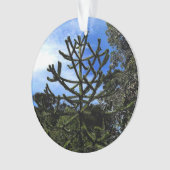 Monkey Puzzle Tree #1 Ornament (Vorderseite)