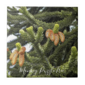 Monkey Puzzle Tree Botanical Fliese (Vorderseite)