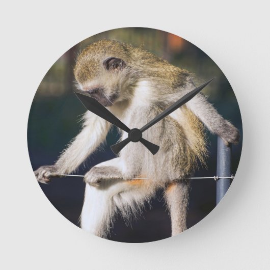 Monkey Runde Wanduhr (Vorderseite)