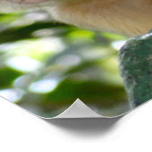 Monkey See... Poster (Ecke)