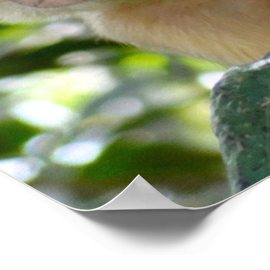 Monkey See... Poster (Ecke)