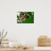 Monkey See... Poster (Küche)
