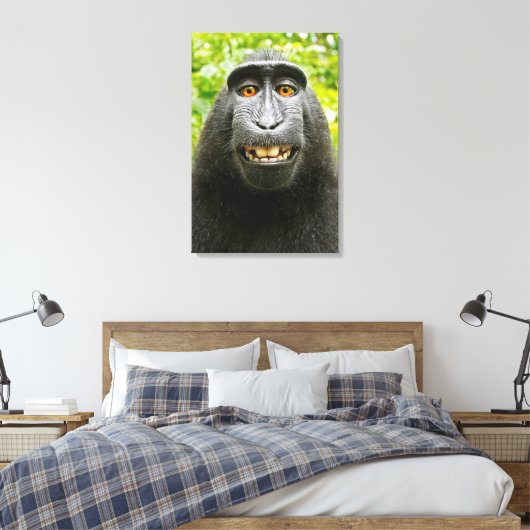 Monkey Selfie Leinwanddruck (Insitu (Schlafzimmer))